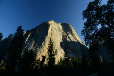 DSC_2452 (Large).JPG